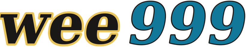 wee999 logo